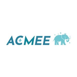 株式会社ACMEE