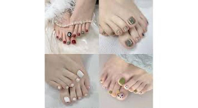 プリメイロ株式会社