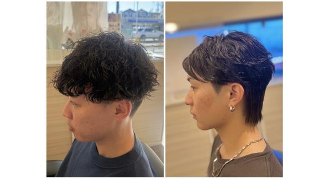 medical hair RoLO