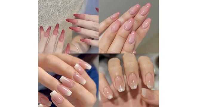 プリメイロ株式会社