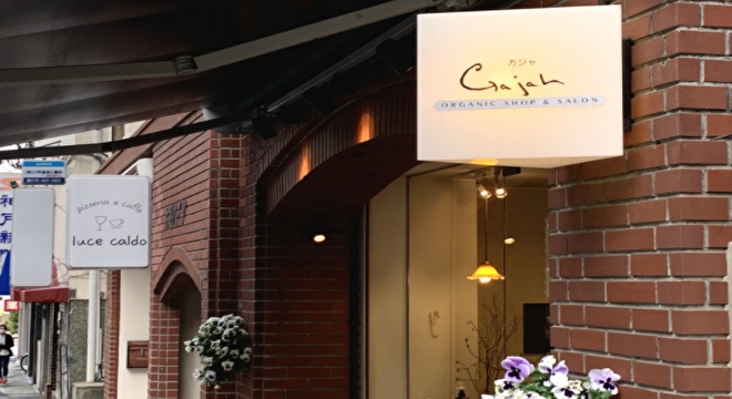 organic shop&salon Gajah