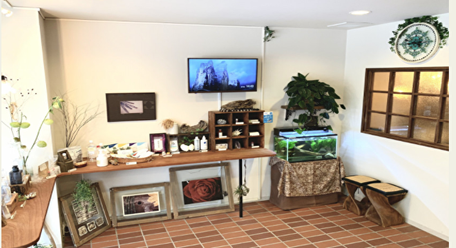 organic shop&salon Gajah