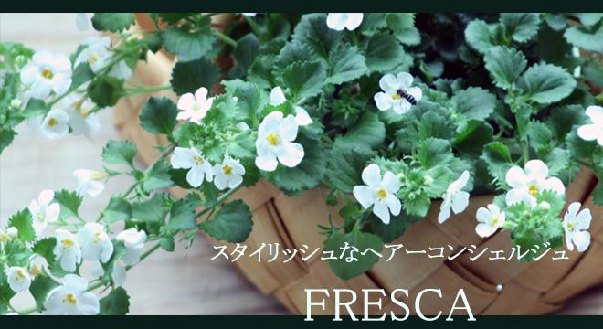 有限会社カミワザ ,Hair &Make FRESCA 初台店